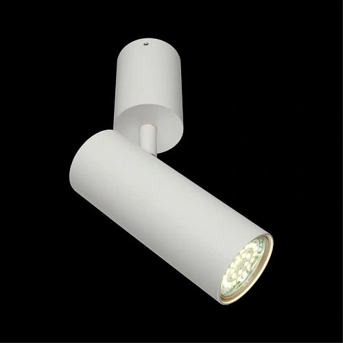 Светильник настенно-потолочный Aployt Berenis APL.007.02.01 Светильник настенно-потолочный Aployt Berenis APL.007.02.01