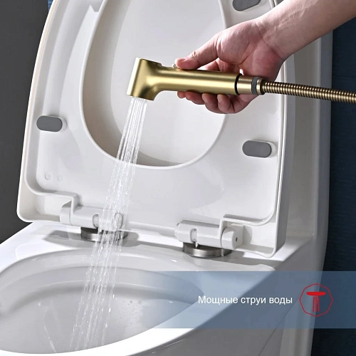 Гигиенический душ Raglo R03.51.03, золотой сатин Гигиенический душ Raglo R03.51.03, золотой сатин