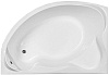 Картинка анонса товара «акриловая ванна aquanet jamaica 160x100 l 00203986»