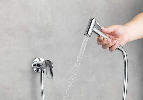 Гигиенический душ Aquatek ВЕГА AQ1019CR хром Гигиенический душ Aquatek ВЕГА AQ1019CR хром