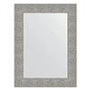 Зеркало в багетной раме Evoform Definite BY 3055 60 x 80 см, чеканка серебряная