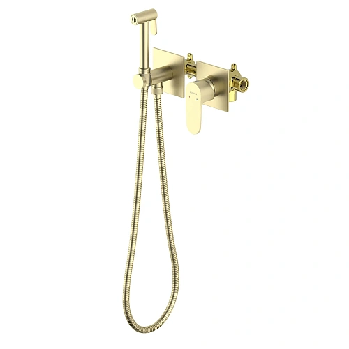 Гигиенический душ Aquatek Оберон AQ1220BG золото шлифованное, встраиваемый Гигиенический душ Aquatek Оберон AQ1220BG золото шлифованное, встраиваемый