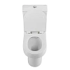 Унитаз напольный BelBagno NORMA BB339CPR/BB339T/BB076SC безободковый Унитаз напольный BelBagno NORMA BB339CPR/BB339T/BB076SC безободковый