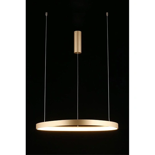 Люстра подвесная Aployt Zula APL.022.03.48 Люстра подвесная Aployt Zula APL.022.03.48