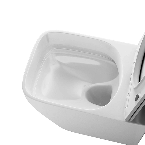 Унитаз подвесной Grossman Thin Rim GR-5603S (520х365х345) тонкий ободок, белый, с крышкой микролифт Унитаз подвесной Grossman Thin Rim GR-5603S (520х365х345) тонкий ободок, белый, с крышкой микролифт