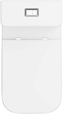 Чаша напольного унитаза Allen Brau Liberty 4.33013.20 с крышкой, белый