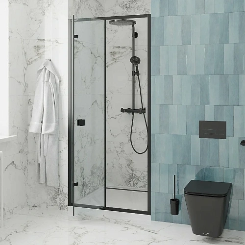 Душевая дверь Ceruttispa BELLA D81B 80х195 Душевая дверь Ceruttispa BELLA D81B 80х195