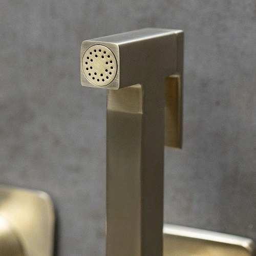 Гигиенический душ Lemark Ursus LM7219BG встраиваемый, брашированное золото Гигиенический душ Lemark Ursus LM7219BG встраиваемый, брашированное золото