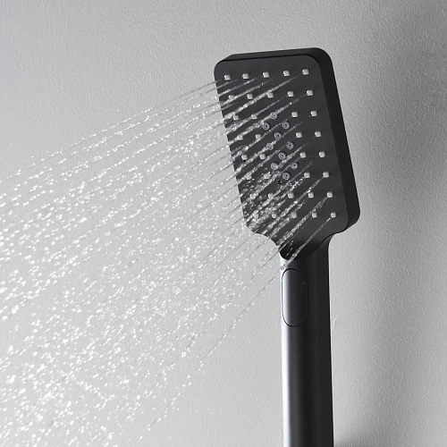 Душевая лейка WasserKRAFT A130 3-функциональная черный Душевая лейка WasserKRAFT A130 3-функциональная черный