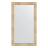 Зеркало в багетной раме Evoform Definite BY 3309 80 x 140 см, золотые дюны