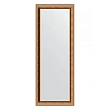 Зеркало в багетной раме Evoform Definite BY 3111 55 x 145 см, версаль бронза Зеркало в багетной раме Evoform Definite BY 3111 55 x 145 см, версаль бронза