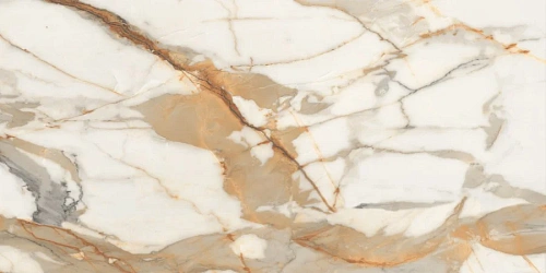 Керамогранит Neodom Sale Breccia Polished 60x120 CV20312 Керамогранит Neodom Sale Breccia Polished 60x120 CV20312