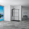 Картинка анонса товара «душевая перегородка rgw walk in wa-011b 35101170-84»
