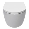 Унитаз подвесной AQUAme AQM2013PRO сиденье SoftClose, технология смыва Invisible, 490х360х380 Унитаз подвесной AQUAme AQM2013PRO сиденье SoftClose, технология смыва Invisible, 490х360х380