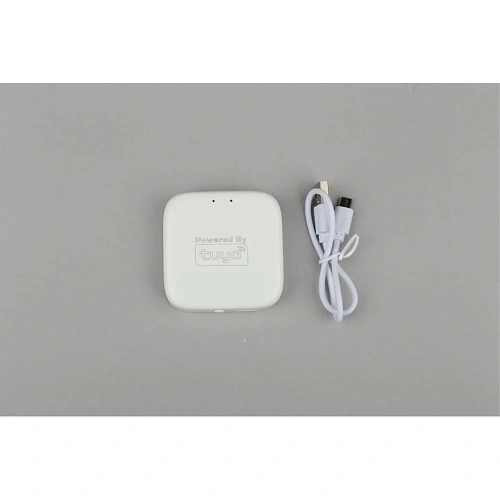 Трековое управление Aployt Magnetic track 220 APL.0295.00.01 Трековое управление Aployt Magnetic track 220 APL.0295.00.01