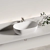 Раковина Ceramica Nova Twist CN12001MW накладная овальной формы 500x300x140 белый матовый Раковина Ceramica Nova Twist CN12001MW накладная овальной формы 500x300x140 белый матовый