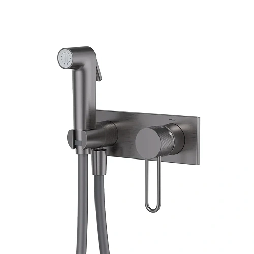 Гигиенический душ IDDIS Duna (DUNGMV0i08) графит матовый Гигиенический душ IDDIS Duna (DUNGMV0i08) графит матовый