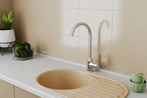 Смеситель для кухни RUSH Fiji (FI1835-23) Смеситель для кухни RUSH Fiji (FI1835-23)