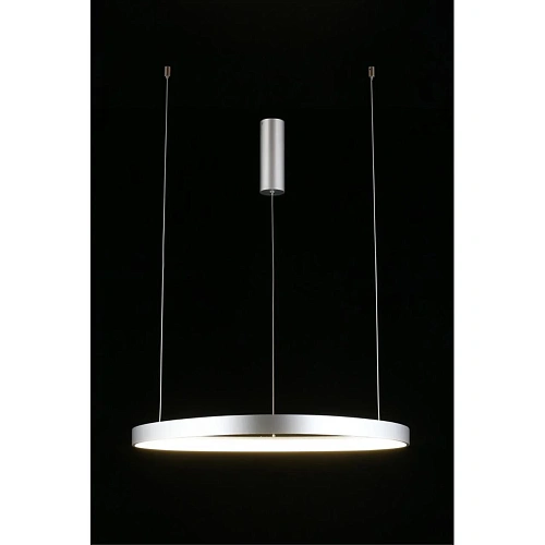 Люстра подвесная Aployt Zula APL.022.13.48 Люстра подвесная Aployt Zula APL.022.13.48