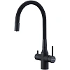 Смеситель для кухни Paulmark SALIX антрацит Sa213419-AN Смеситель для кухни Paulmark SALIX антрацит Sa213419-AN