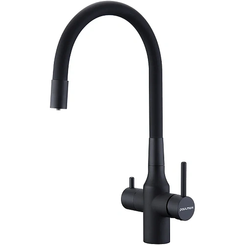 Смеситель для кухни Paulmark SALIX антрацит Sa213419-AN Смеситель для кухни Paulmark SALIX антрацит Sa213419-AN