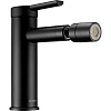 Смеситель для биде Swedbe Diana 1040B Смеситель для биде Swedbe Diana 1040B