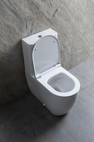 Чаша напольного унитаза Allen Brau Priority 4.31003.20 с крышкой, белый Чаша напольного унитаза Allen Brau Priority 4.31003.20 с крышкой, белый