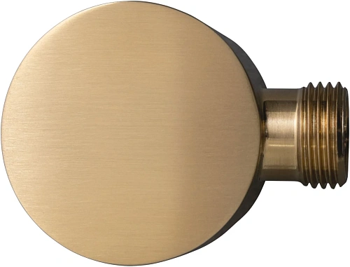 Шланговое подключение Allen Brau Priority 5.31A15-GB золото Шланговое подключение Allen Brau Priority 5.31A15-GB золото