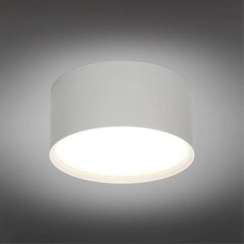 Светильник встраиваемый-накладной Omnilux Abano OML-103309-12 Светильник встраиваемый-накладной Omnilux Abano OML-103309-12