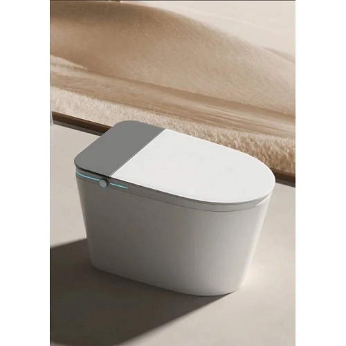 Унитаз напольный Ceruttispa ESTER Smart CT10617 с дистанционным управлением, сиденье микролифт Унитаз напольный Ceruttispa ESTER Smart CT10617 с дистанционным управлением, сиденье микролифт