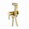 Гигиенический душ Raglo R20.54.03 встраиваемый, сатин золотой Гигиенический душ Raglo R20.54.03 встраиваемый, сатин золотой