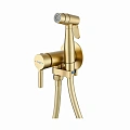 Гигиенический душ Raglo R20.54.03 встраиваемый, сатин золотой Гигиенический душ Raglo R20.54.03 встраиваемый, сатин золотой