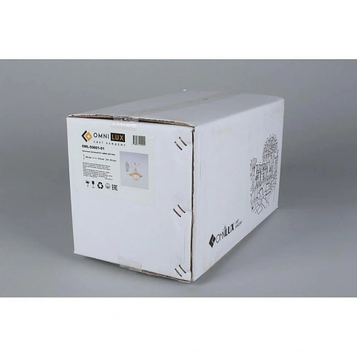 Светильник настенный (Бра) Omnilux Torri OML-50801-01 Светильник настенный (Бра) Omnilux Torri OML-50801-01