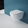 Картинка анонса товара «унитаз подвесной esbano fortex-53t (esupfort53tw) white 530x360x360 с крышкой микролифт»