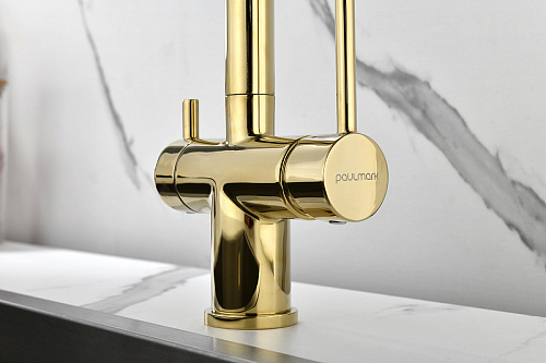 Смеситель для кухни Paulmark SERPENTINE золото Se213222-G Смеситель для кухни Paulmark SERPENTINE золото Se213222-G