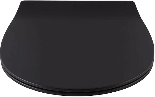 Крышка-сиденье Allen Brau Fantasy Smartfix, Soft-Close 4.11005.31 черный Крышка-сиденье Allen Brau Fantasy Smartfix, Soft-Close 4.11005.31 черный