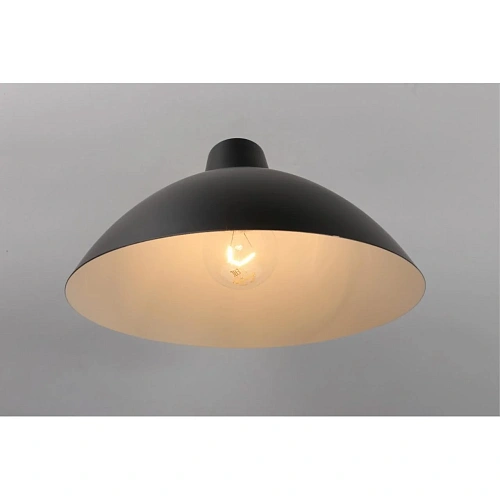 Светильник настенный (Бра) Aployt Klarka APL.632.01.01 Светильник настенный (Бра) Aployt Klarka APL.632.01.01