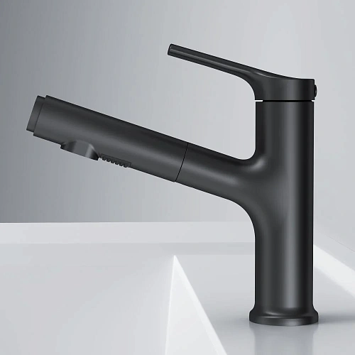 Смеситель для раковины AM.PM X-Joy F85B02922 с вытяжным изливом, черный Смеситель для раковины AM.PM X-Joy F85B02922 с вытяжным изливом, черный