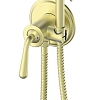 Гигиенический душ Wonzon & Woghand брашированное золото (WW-88829008-BG) Гигиенический душ Wonzon & Woghand брашированное золото (WW-88829008-BG)