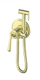 Гигиенический душ Wonzon & Woghand брашированное золото (WW-88829008-BG) Гигиенический душ Wonzon & Woghand брашированное золото (WW-88829008-BG)