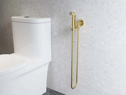 Гигиенический душ Aquatek АЛЬФА AQ1919BG шлифованное золото Гигиенический душ Aquatek АЛЬФА AQ1919BG шлифованное золото