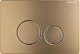 Клавиша смыва CHARUS ROBUSTO FP.330.BTG.05 брашированное золото (светлое) Клавиша смыва CHARUS ROBUSTO FP.330.BTG.05 брашированное золото (светлое)