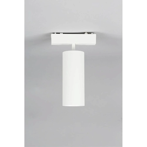 Светильник трековый Aployt Magnetic track 48 APL.0114.10.18 Светильник трековый Aployt Magnetic track 48 APL.0114.10.18