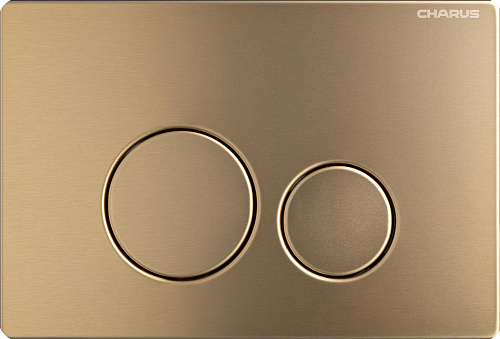Клавиша смыва CHARUS ROBUSTO FP.330.BTG.05 брашированное золото (светлое) Клавиша смыва CHARUS ROBUSTO FP.330.BTG.05 брашированное золото (светлое)
