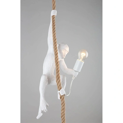 Светильник подвесной Aployt Magali APL.309.06.01 Светильник подвесной Aployt Magali APL.309.06.01