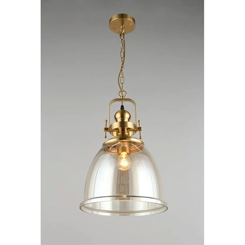 Светильник подвесной Aployt Darunia APL.629.16.01 Светильник подвесной Aployt Darunia APL.629.16.01