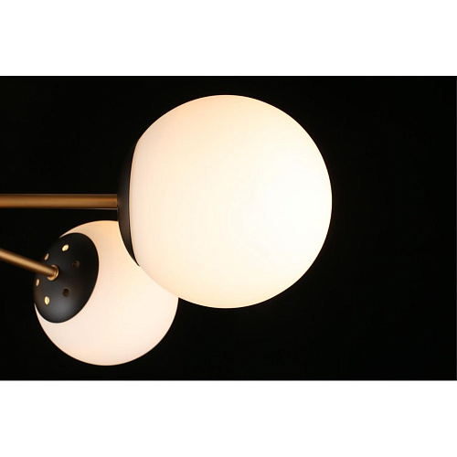 Люстра потолочная Aployt Ewka APL.906.17.07 Люстра потолочная Aployt Ewka APL.906.17.07