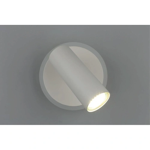 Светильник настенный (Бра) Aployt Stenia APL.005.01.02 Светильник настенный (Бра) Aployt Stenia APL.005.01.02