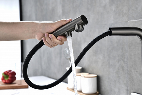 Смеситель для кухни Paulmark SERPENTINE вороненая сталь Se213222-GM Смеситель для кухни Paulmark SERPENTINE вороненая сталь Se213222-GM