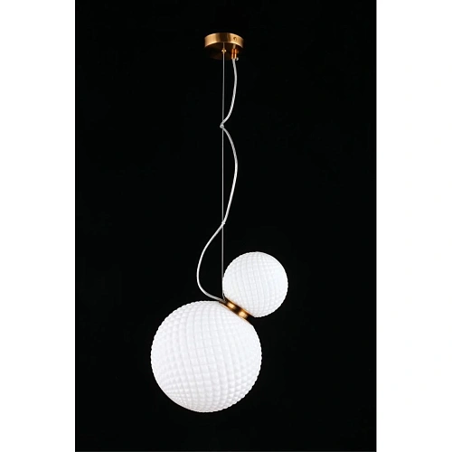 Светильник подвесной Aployt Patunia APL.301.06.02 Светильник подвесной Aployt Patunia APL.301.06.02